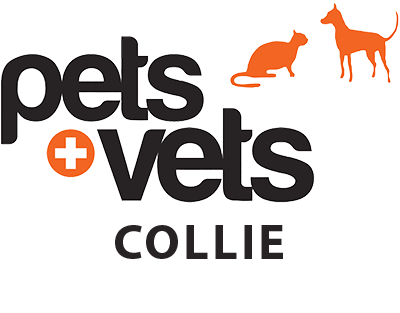 Collie Vet Hospital